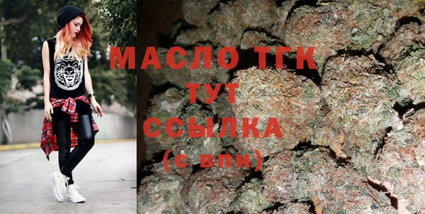 МДПВ Нея