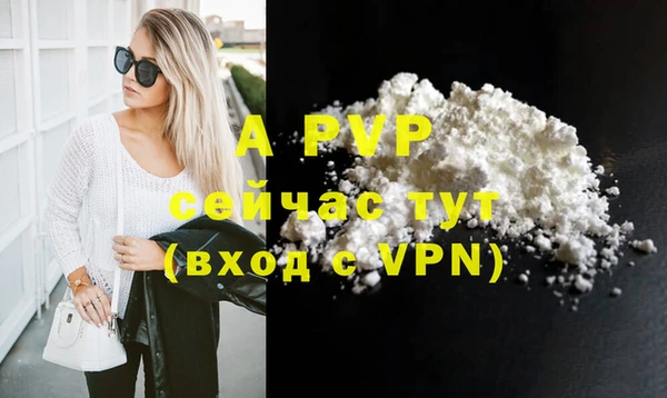 МДПВ Нея
